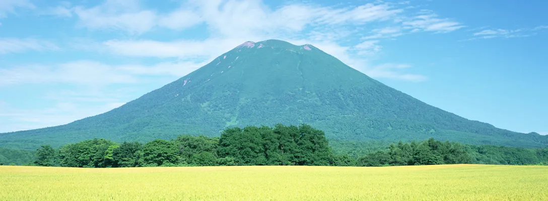 About Niseko